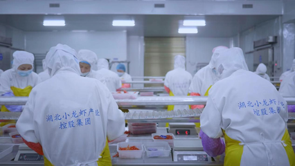 全國首個小龍蝦加工基地揭牌 全鏈賦能‘蝦’經(jīng)濟，助力鄉(xiāng)村振興與技術推廣