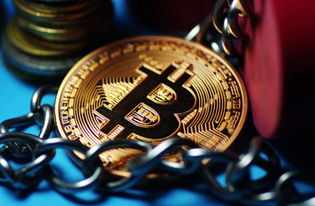 區(qū)塊鏈技術(shù)賦能鄉(xiāng)村振興 中國區(qū)塊鏈扶貧技術(shù)推廣中心正式成立