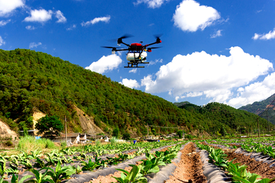 技術推‘新’煙田增‘綠’ 科技賦能煙草農(nóng)業(yè)可持續(xù)發(fā)展